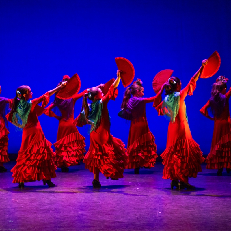 FLAMENCO INFANTIL 2