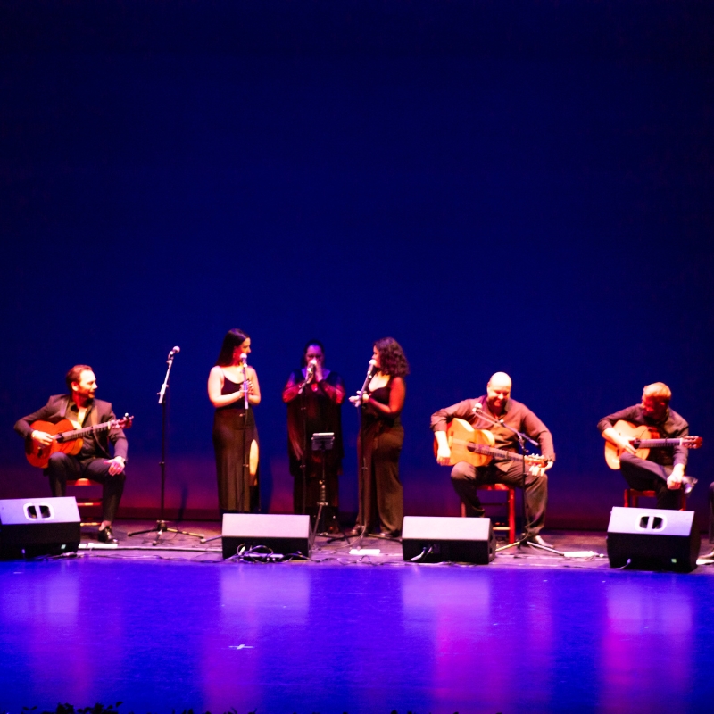 GUITARRA FLAMENCA 2