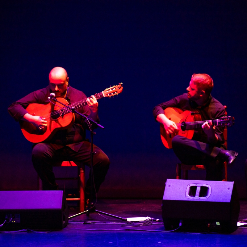 GUITARRA FLAMENCA